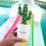 Fucculent discount code